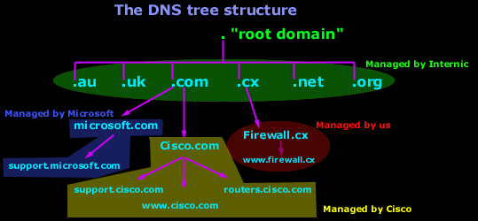 โดเมน เน ม domain name system dns service