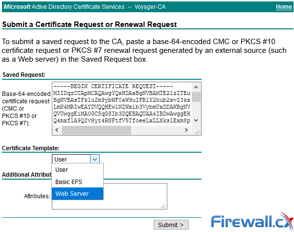 How to Enable Web Server Certificate Template Option on Windows