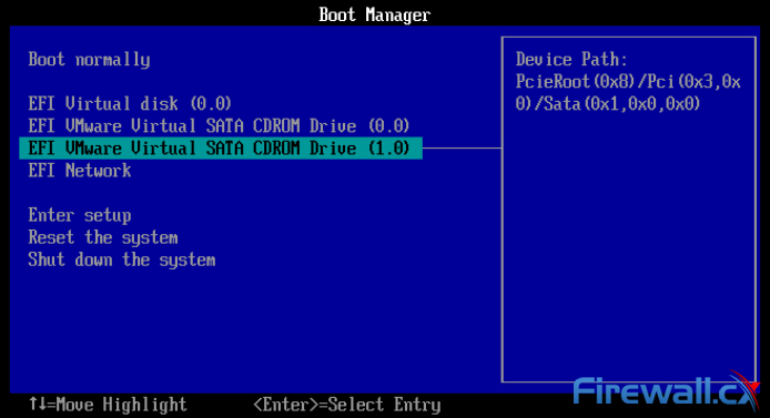 VMware ESXi Boot Manager