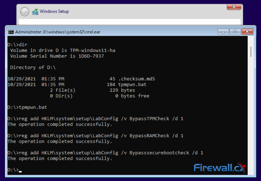 Executing Windows 11 TPM Security bypass script