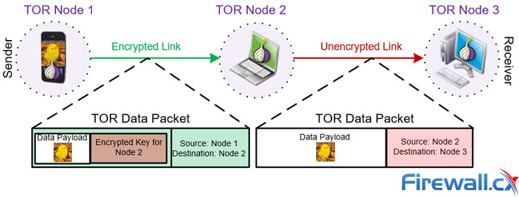 Tor Vs Vpns - Anonymity Vs Privacy thumbnail
