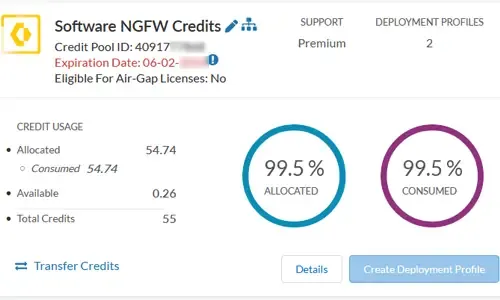 Palo Alto Networks Software NGFW (Flex) Credits